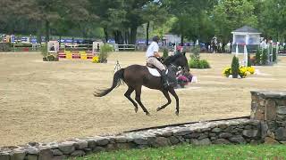 Al amp Aaron Piedmont Jumpers Upperville 92624 9m [upl. by Eveivenej]