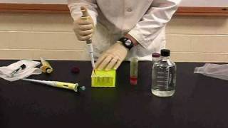 Protein Methods 2010  Dilutions with Chromophores no audio [upl. by Nick]