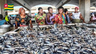 Biggest and cheapest fish market in Togo 🇹🇬 west Africa cost of fish in the lomé fishing harbor [upl. by Biggs]