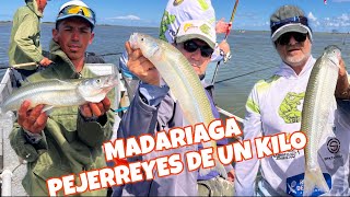 Pejerreyes de un kilo en Madariaga Pesca de pejerrey junto a Urion “La Gaby” [upl. by Ahseket]