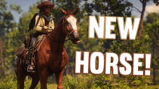 FIRST HORSE  RDR2 Realistic Roleplay The Rift [upl. by Alexina]