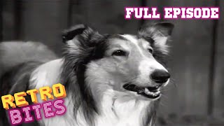 The New Adventures of Lassie  Mega Episode 3  English Episode PowerKidsWorld [upl. by Lucias601]