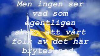 Svensk Ungdom  Sverige har fallit [upl. by Ykvir474]