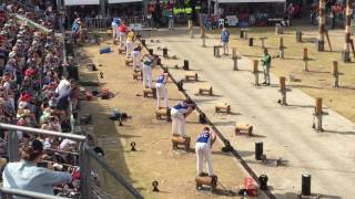 Sydney show 375mm underhand world championship final 2017  woodchopping [upl. by Eirollam121]