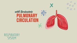 PULMONARY CIRCULATION  PULMONARY SHUNT RESPIRATORY SYSTEM PHYSIOLOGY [upl. by Olivette]