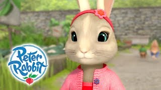 Peter Rabbit  Being Helpful with Lily 🐰  Practical Pocket  30 Mins Compilation  Kids Cartoons [upl. by Sherwynd]