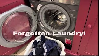 Laundry Left In Washing Machine Overnight Do I Need To Rewash It  laundrytips [upl. by Meredi980]