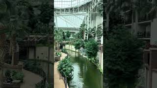 Opryland Hotel in Nashville City Tennessee state USA 🇺🇸 reelsvideo reelsviral reels [upl. by Eseenaj]