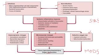 Systemic Inflammatory Response Syndrome SIRS [upl. by Lucas951]