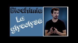 Cours de biochimie Glycolyse [upl. by Sillad]