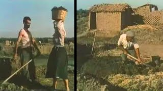 Produzione di tegole e mattoni nel Campidano di Oristano 1951 [upl. by Ainoet]