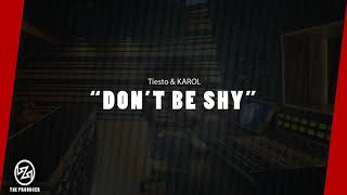 Tiesto amp KAROL G  Don’t Be Shy Instrumental [upl. by Staci591]