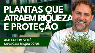 PLANTAS QUE ATRAEM RIQUEZA PARA SUA CASA  FENG SHUI NA VISÃO ESPIRITUAL  ATALLA COM VOCÊ [upl. by Mettah209]