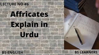 Affricates in Phonetics by Bs Learners [upl. by Lacsap]