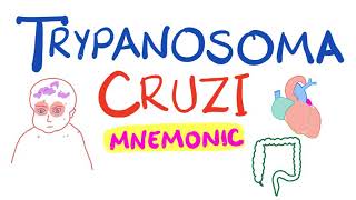 Trypanosoma Cruzi Mnemonic  Chagas Disease [upl. by Ynor842]