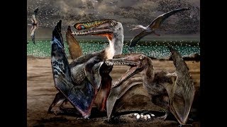 Over 200 Fossilized Eggs Found in China Reveal How Pterosaurs Breed [upl. by Ynaffad]