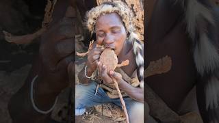 Its Fantastic 😍 Natural Roots food hadzabe tribe Favorite breakfast 😋 [upl. by Iddo]