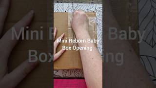 Mini Reborn Baby Box Opening rebornbaby [upl. by Tihor]