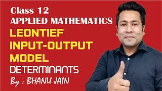 Leontief input output model 02  Word problems  Class 12 Applied Maths [upl. by Fisuoy933]