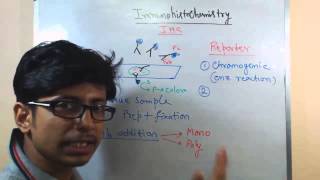 Immunohistochemistry lecture principle and process [upl. by Nimesay]