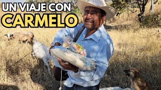 De viaje con Carmelo 🤠 [upl. by Jopa]