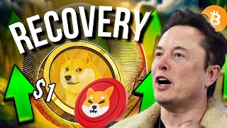 Dogecoin Bitcoin News Today When Will We Recover [upl. by Eineg]