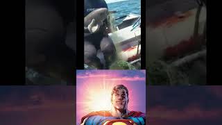 Diver helps Dolphin superman starman fyp shorts memes trending ytshorts wholesome [upl. by Ykcul890]