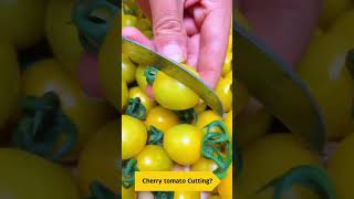 Cherry Tomato Cutting [upl. by Kcaj]