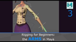 Rigging for Beginners the Arms in Maya [upl. by Durkee756]