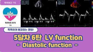 Diastolic function  Relaxation mitral inflow tdi echocardiography 심장초음파 heart echo view [upl. by Clara294]