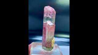 Bicolor TourmalineCrystal  PaprokTourmaline  TourmalineSpecimen  FineMineral [upl. by Aivatnuhs399]