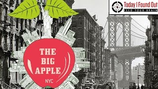 Why is New York City Called the Big Apple [upl. by Henghold5]