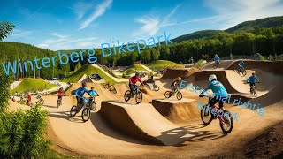 Winterberg Bikepark als Anfänger [upl. by Yrojram815]