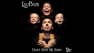 Dont Stop Me Eatin  LadBaby Acappella [upl. by Cott]