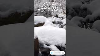 Surah Ut Takveer Relax Your Mind Beautiful Voice [upl. by Amandy210]