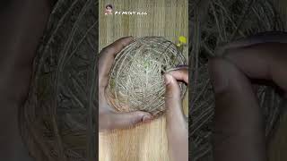 How to make a Weaver bird nest at home ll video shorts [upl. by Baxter]