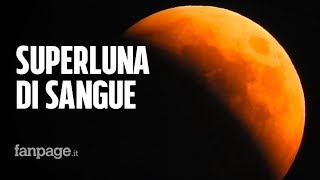 Cosè leclissi totale della Superluna di sangue e cosa rischiamo [upl. by Brenton188]