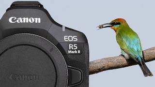 CANON EOS R5 Mark II TESTED and REVIEW Bird photography [upl. by Gal902]