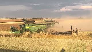 4  John Deere X9’s Harvesting Invigor 340PC Canola [upl. by Ahseket]