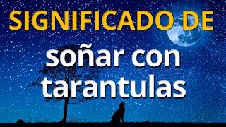 Qué significa soñar con tarantulas 💤 Interpretación de los Sueños [upl. by Liponis]