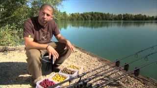 Mainline Bait  High Impact Range Boilies [upl. by Agrippina972]