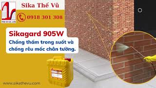 Sikagard 905W khả năng chống thấm trong suốt và hiệu quả Sika Thế Vũ 0918301308 [upl. by Adiuqal775]