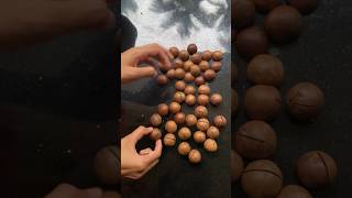 Macadamia കഴിച്ചവരുണ്ടോ 😋❤️macadamianuts nuts food [upl. by Vale]