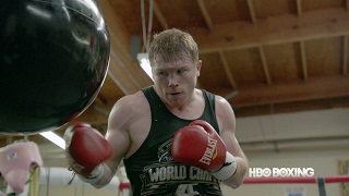 Canelo Alvarez Greatest Hits HBO Boxing [upl. by Borries]