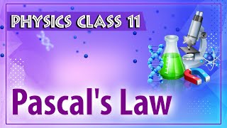 Laws of Motion One Shot Physics with Live Experiments  Class 11 Physics NCERT  By Ashu Sir [upl. by Telrats174]