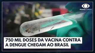 Primeiras doses da vacina contra a dengue chegam ao Brasil  Bora Brasil [upl. by Tezil]