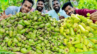 Fresh Cashew Nut Curry  Sri Lankan Village Style Cashew Nut Gravy  Village Man Cooking [upl. by Aicetal795]