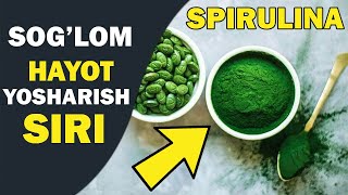 Immunitetni mustahkamlash sirlari  SPIRULINA Иммунитетни кўтарувчи маҳсулот СПИРУЛИНА [upl. by Livingstone]