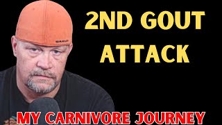 My 2nd Gout Attack on the Carnivore Diet [upl. by Kentigerma237]