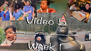 Week vlog Valentijnsdag verjaardagsweekend dierentuin zwemmen familievloggers [upl. by Aiveneg]